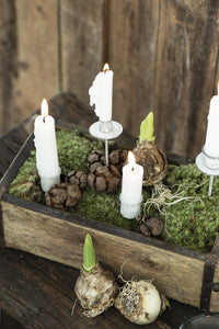 White Spear Tapered Candle Holder