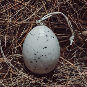 Porcelain egg-Bird speckles