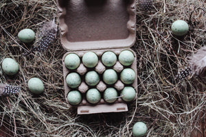 Box of 12 Quail Egg's - Light Green