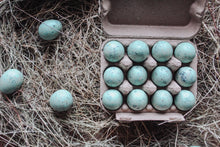 Box of 12 Quail Egg's- Mint Green